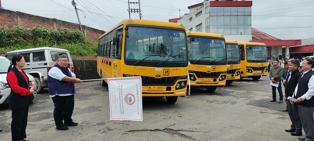 Buses